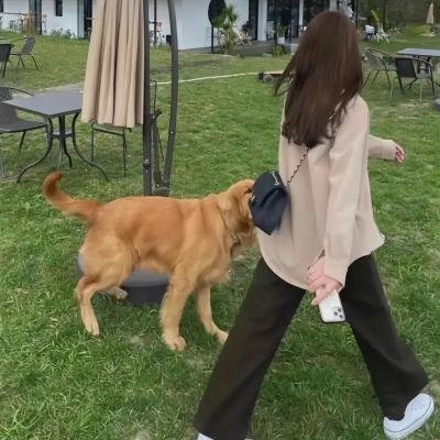 缉凶48小时