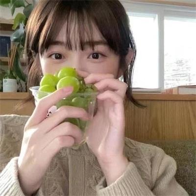 小鼠朋友